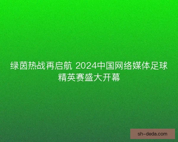 绿茵热战再启航 2024中国网络媒体足球精英赛盛大开幕