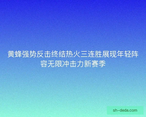 黄蜂强势反击终结热火三连胜展现年轻阵容无限冲击力新赛季